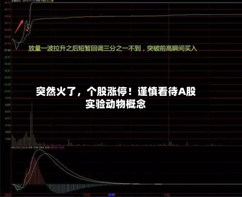突然火了，个股涨停！谨慎看待A股实验动物概念-第2张图片