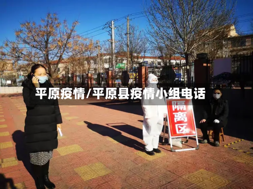 平原疫情/平原县疫情小组电话-第2张图片
