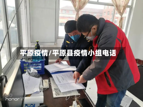 平原疫情/平原县疫情小组电话-第3张图片
