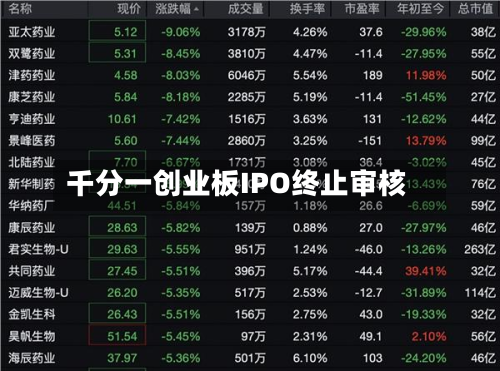 千分一创业板IPO终止审核