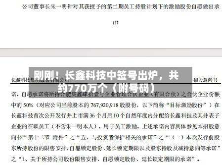 刚刚！长鑫科技中签号出炉，共约770万个（附号码）-第2张图片
