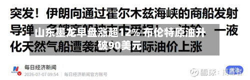 山东墨龙早盘涨超12% 布伦特原油升破90美元-第2张图片