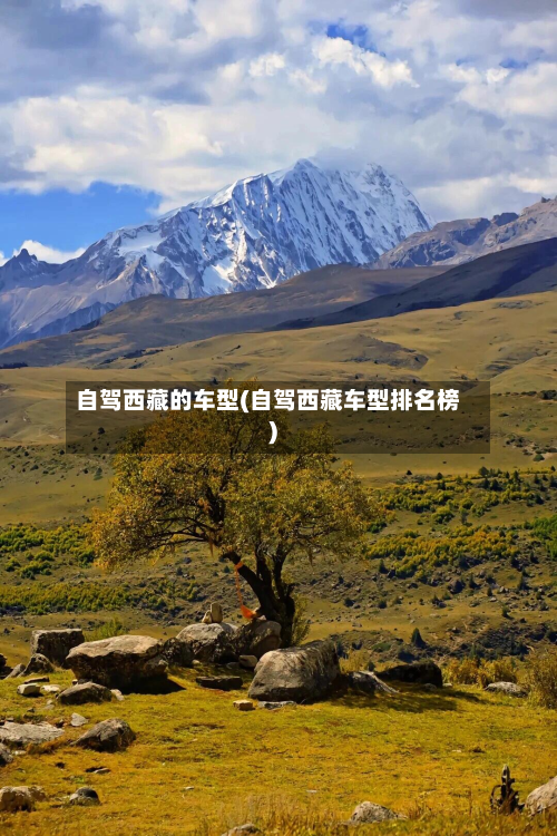 自驾西藏的车型(自驾西藏车型排名榜)