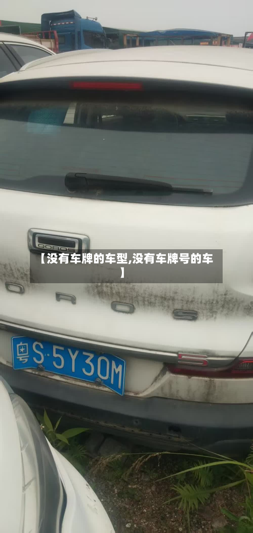 【没有车牌的车型,没有车牌号的车】-第2张图片