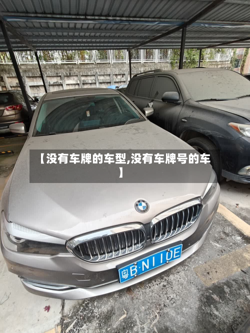 【没有车牌的车型,没有车牌号的车】