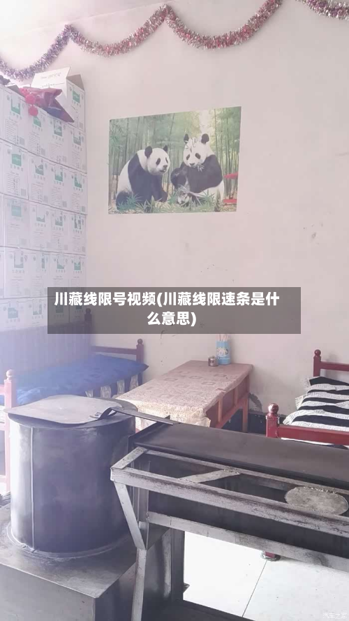 川藏线限号视频(川藏线限速条是什么意思)-第3张图片