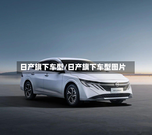 日产旗下车型/日产旗下车型图片-第2张图片