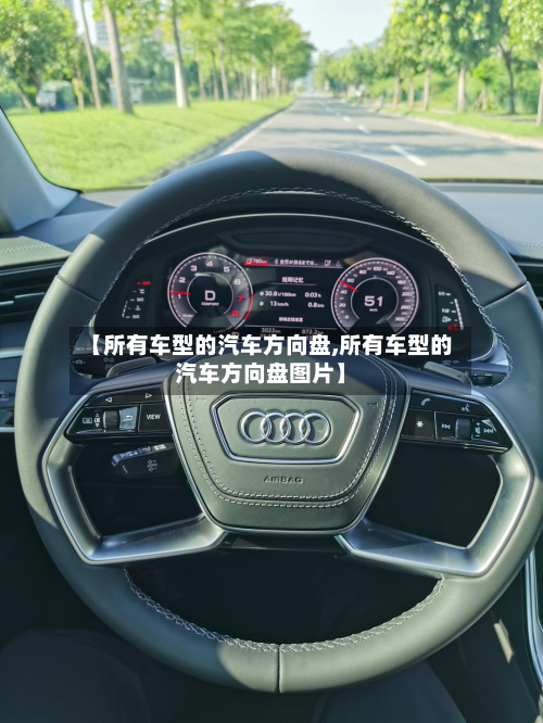 【所有车型的汽车方向盘,所有车型的汽车方向盘图片】-第2张图片