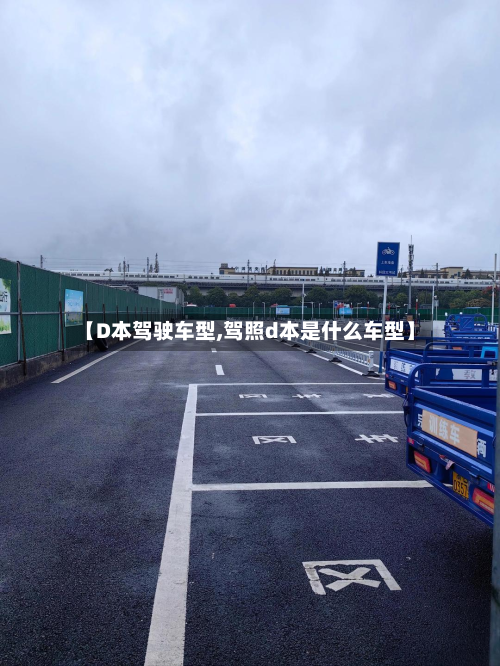 【D本驾驶车型,驾照d本是什么车型】-第2张图片