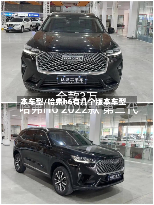 本车型/哈弗h6有几个版本车型