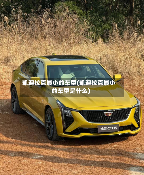 凯迪拉克最小的车型(凯迪拉克最小的车型是什么)-第3张图片
