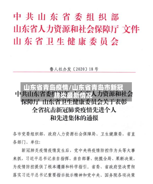 山东省青岛疫情/山东省青岛市新冠肺炎最新情况