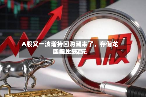 A股又一波增持回购潮来了，存储龙头拟比较高回购2.5亿元-第2张图片