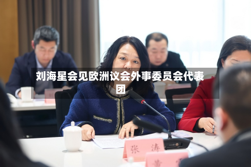 刘海星会见欧洲议会外事委员会代表团