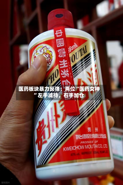 医药板块暴力反弹：两位“医药女神”左手减持，右手加仓-第2张图片