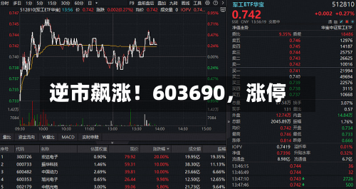 逆市飙涨！603690，涨停-第2张图片