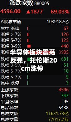 半导体板块震荡反弹，托伦斯20cm涨停-第2张图片