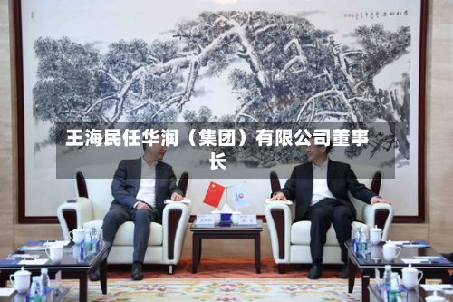 王海民任华润(集团)有限公司董事长-第3张图片