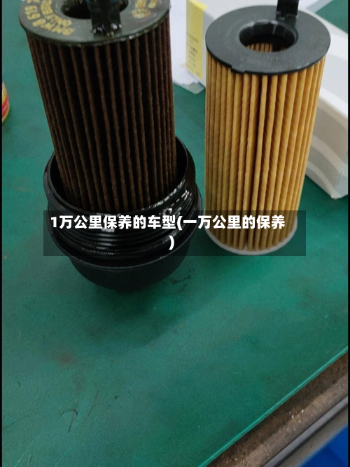 1万公里保养的车型(一万公里的保养)