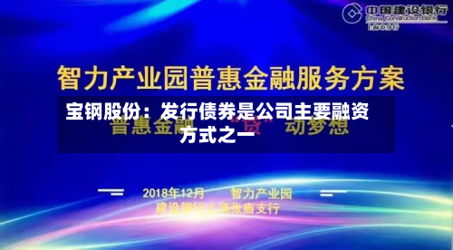 宝钢股份：发行债券是公司主要融资方式之一-第2张图片