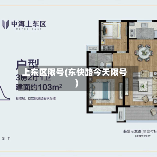 上东区限号(东快路今天限号)-第3张图片