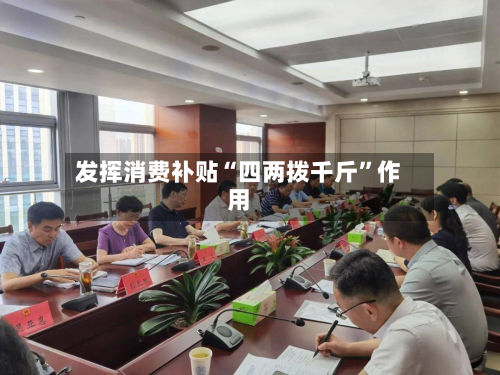 发挥消费补贴“四两拨千斤”作用