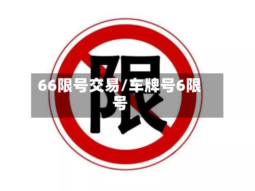 66限号交易/车牌号6限号-第2张图片