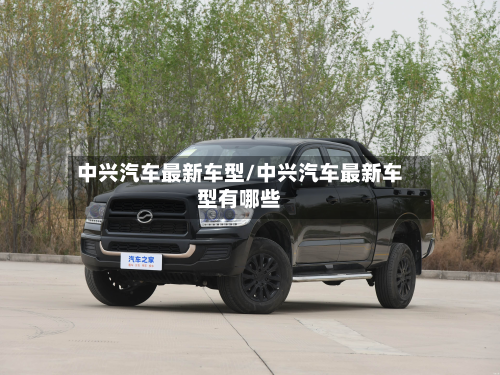 中兴汽车最新车型/中兴汽车最新车型有哪些-第3张图片
