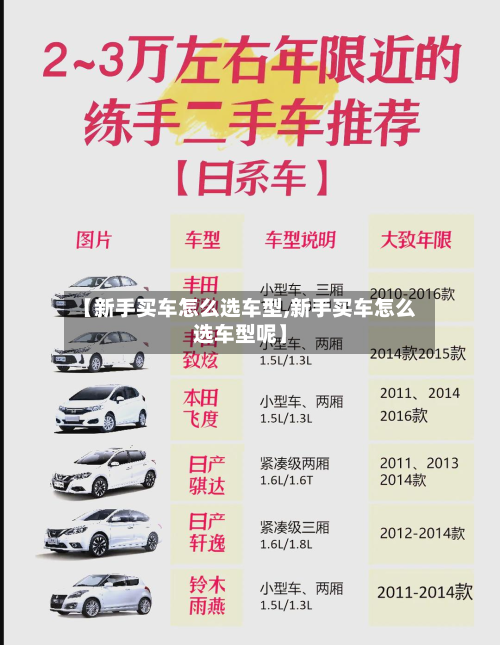 【新手买车怎么选车型,新手买车怎么选车型呢】