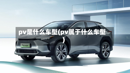 pv是什么车型(pv属于什么车型)