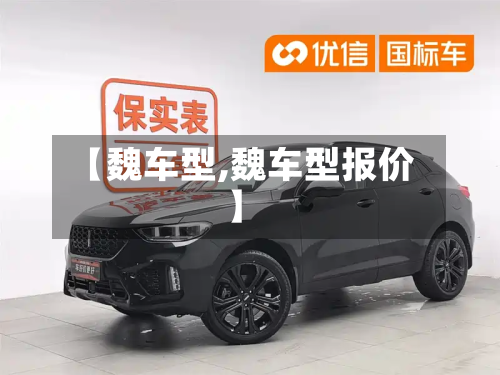 【魏车型,魏车型报价】