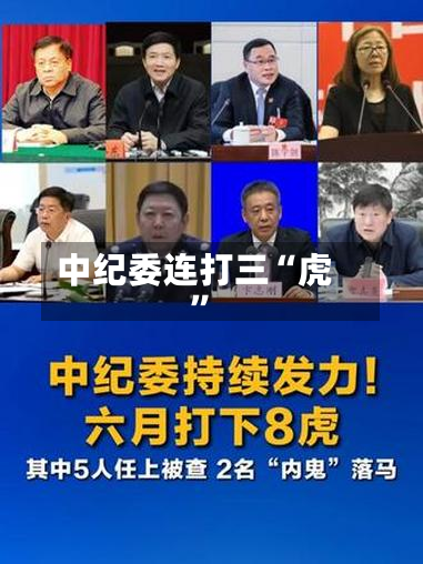 中纪委连打三“虎”-第3张图片
