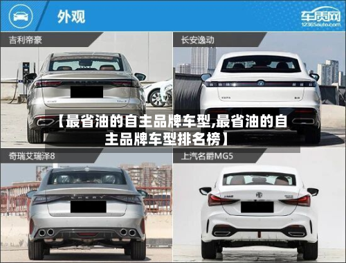 【最省油的自主品牌车型,最省油的自主品牌车型排名榜】-第2张图片