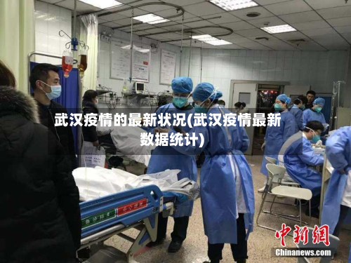 武汉疫情的最新状况(武汉疫情最新数据统计)-第3张图片