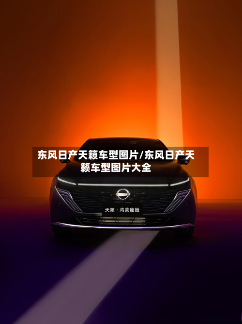 东风日产天籁车型图片/东风日产天籁车型图片大全