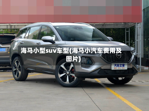 海马小型suv车型(海马小汽车费用及图片)-第3张图片