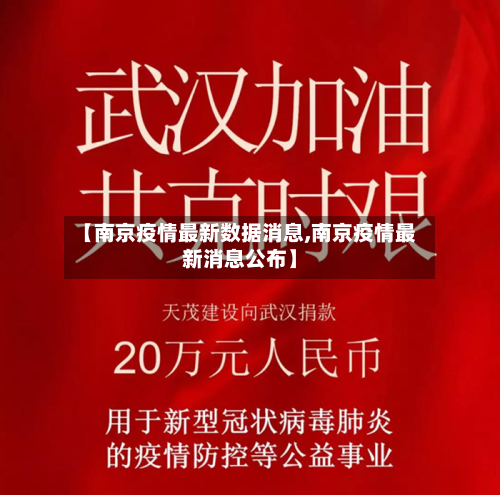 【南京疫情最新数据消息,南京疫情最新消息公布】-第2张图片