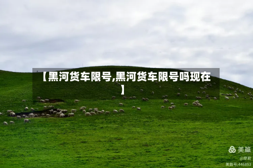 【黑河货车限号,黑河货车限号吗现在】