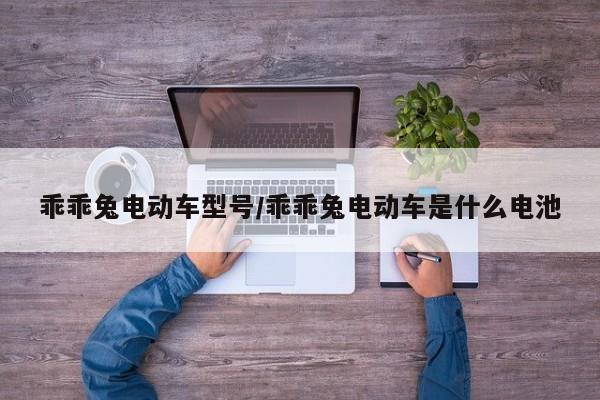 乖乖兔电动车型号/乖乖兔电动车是什么电池