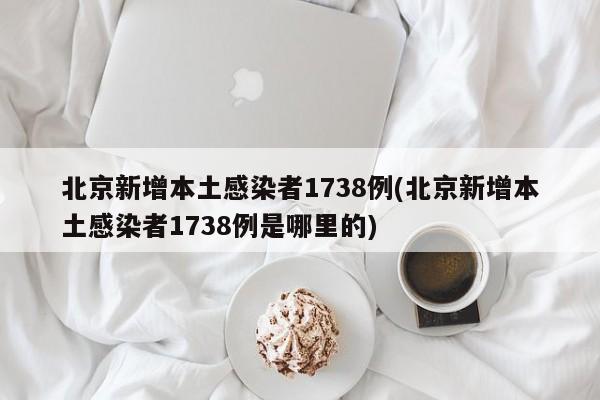 北京新增本土感染者1738例(北京新增本土感染者1738例是哪里的)