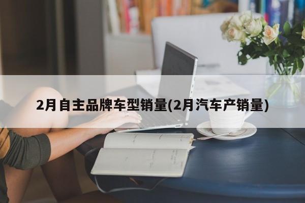 2月自主品牌车型销量(2月汽车产销量)