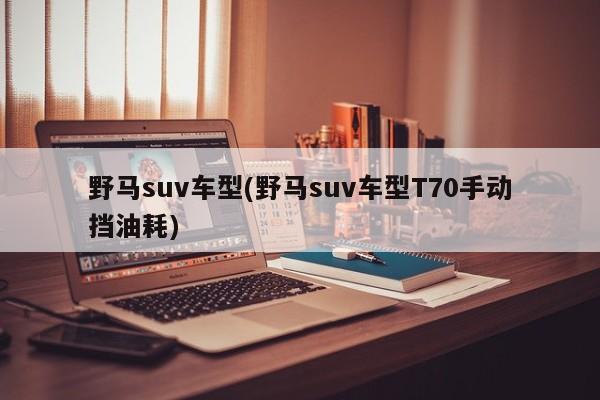 野马suv车型(野马suv车型T70手动挡油耗)