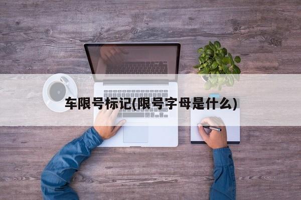 车限号标记(限号字母是什么)