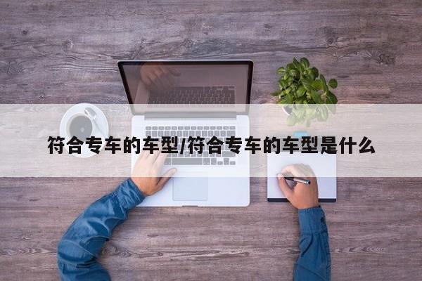 符合专车的车型/符合专车的车型是什么