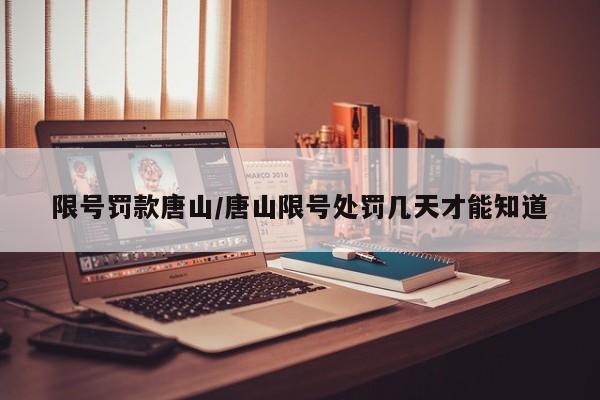 限号罚款唐山/唐山限号处罚几天才能知道