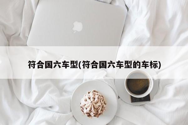 符合国六车型(符合国六车型的车标)