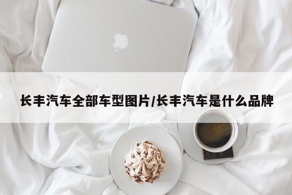 长丰汽车全部车型图片/长丰汽车是什么品牌