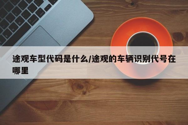 途观车型代码是什么/途观的车辆识别代号在哪里