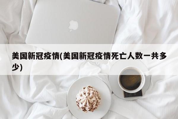 美国新冠疫情(美国新冠疫情死亡人数一共多少)