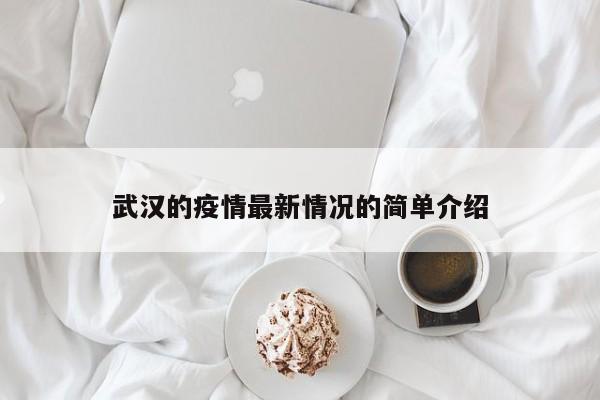 武汉的疫情最新情况的简单介绍
